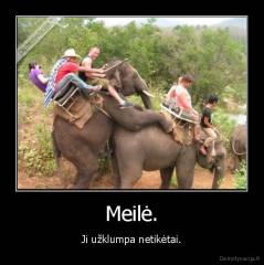 Meilė. - Ji užklumpa netikėtai.