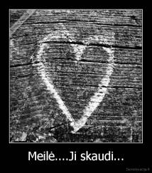 Meilė....Ji skaudi... - 