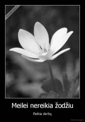 Meilei nereikia žodžiu - Reikia darbų