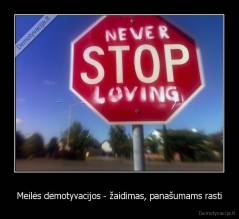 Meilės demotyvacijos - žaidimas, panašumams rasti - 