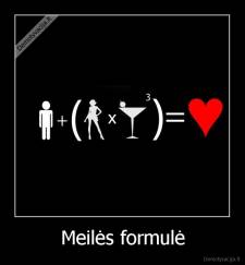 Meilės formulė - 