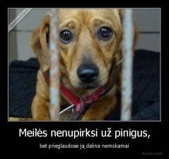 Meilės nenupirksi už pinigus, - bet prieglaudose ją dalina nemokamai