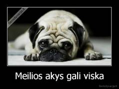 Meilios akys gali viska - 