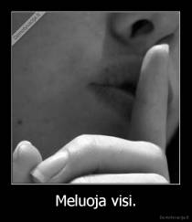 Meluoja visi. - 