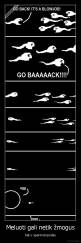 Meluoti gali netik žmogus - bet ir spermotozoidas