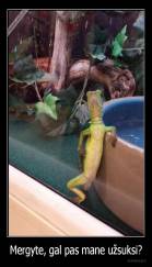 Mergyte, gal pas mane užsuksi? - 