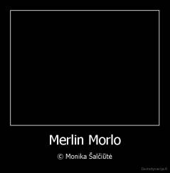 Merlin Morlo - © Monika Šalčiūtė