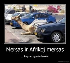Mersas ir Afrikoj mersas - o kupranugaris-Lexus
