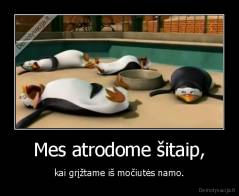 Mes atrodome šitaip, - kai grįžtame iš močiutės namo.