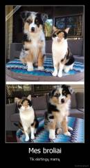 Mes broliai - Tik skirtingų mamų