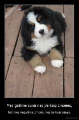 Mes gailime sunu nes jie kaip zmones, - bet mes negailime zmoniu nes jie kaip sunys.