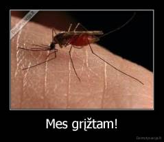 Mes grįžtam! - 