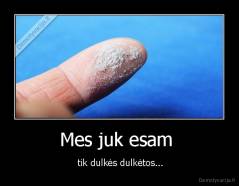 Mes juk esam  -  tik dulkės dulkėtos...