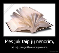 Mes juk taip jų nenorim, - bet iš jų išauga Gyvenimo paslaptis.