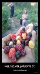 Mes, lietuviai, pažįstame tik  - rausvas ir juodas uogas