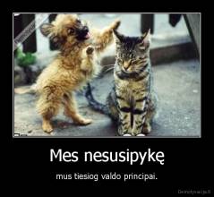 Mes nesusipykę - mus tiesiog valdo principai.