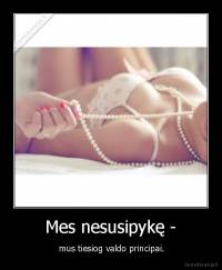 Mes nesusipykę - -  mus tiesiog valdo principai.