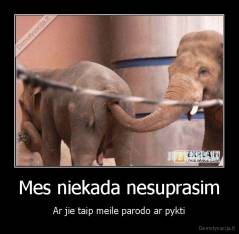 Mes niekada nesuprasim - Ar jie taip meile parodo ar pykti