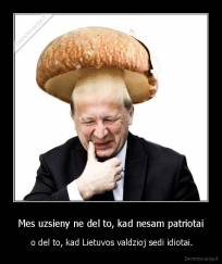 Mes uzsieny ne del to, kad nesam patriotai -  o del to, kad Lietuvos valdzioj sedi idiotai.
