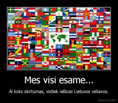 Mes visi esame... - Ai koks skirtumas, vistiek ieškosi Lietuvos vėliavos.