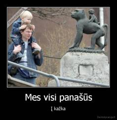 Mes visi panašūs - Į kažka