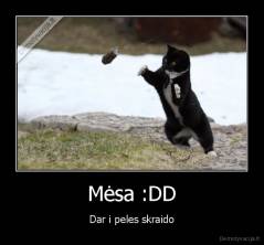 Mėsa :DD - Dar i peles skraido