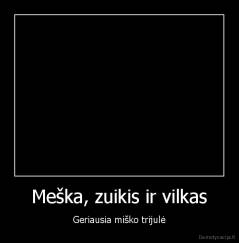 Meška, zuikis ir vilkas - Geriausia miško trijulė