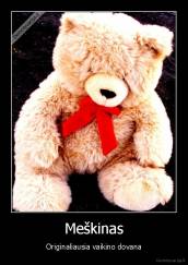Meškinas - Originaliausia vaikino dovana