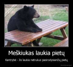 Meškiukas laukia pietų - Kantrybė - Jis laukia netrukus pasirodysiančių pietų