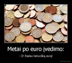 Metai po euro įvedimo: - - O! Radau lietuvišką eurą!