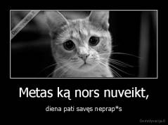Metas ką nors nuveikt, - diena pati savęs neprap*s