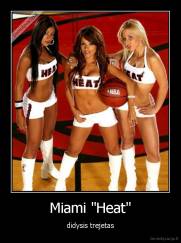 Miami "Heat" - didysis trejetas