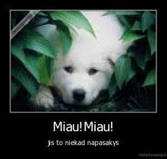 Miau!Miau! - jis to niekad napasakys