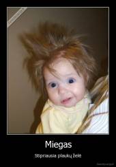 Miegas - Stipriausia plaukų želė