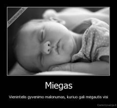 Miegas - Vienintelis gyvenimo malonumas, kuriuo gali mėgautis visi