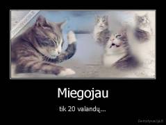 Miegojau - tik 20 valandų...