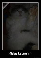 Mielas katinelis... - 