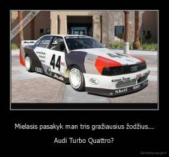 Mielasis pasakyk man tris gražiausius žodžius... - Audi Turbo Quattro?