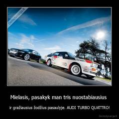 Mielasis, pasakyk man tris nuostabiausius  -  ir gražiausius žodžius pasaulyje. AUDI TURBO QUATTRO!
