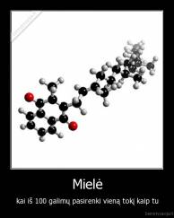 Mielė - kai iš 100 galimų pasirenki vieną tokį kaip tu