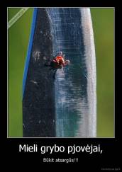 Mieli grybo pjovėjai, - Būkit atsargūs!!!