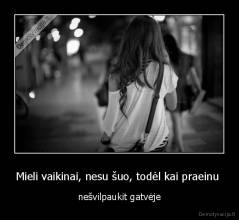 Mieli vaikinai, nesu šuo, todėl kai praeinu  - nešvilpaukit gatvėje