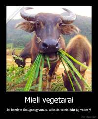Mieli vegetarai - Jei bandote išsaugoti gyvūnus, tai kokio velnio ėdat jų maistą?!