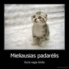 Mieliausias padarėlis - Kuris vagia širdis