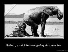 Mielieji , susirinkite savo gyvūnų ekskrementus.  - 