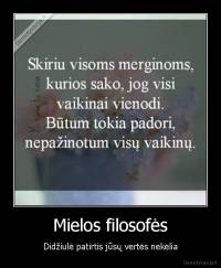 Mielos filosofės - Didžiulė patirtis jūsų vertės nekelia