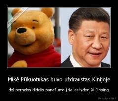 Mikė Pūkuotukas buvo uždraustas Kinijoje - del pernelys didelio panašumo į šalies lyderį Xi Jinping