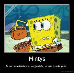 Mintys - Aš dar nesutikau katino, kurį jaudintų, ką apie jį šneka pelės. 