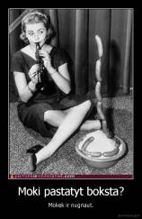 Moki pastatyt boksta? - Mokek ir nugriaut.