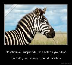Mokslininkai nusprendė, kad zebras yra pilkas - Tik todėl, kad nebūtų apšaukti rasistais